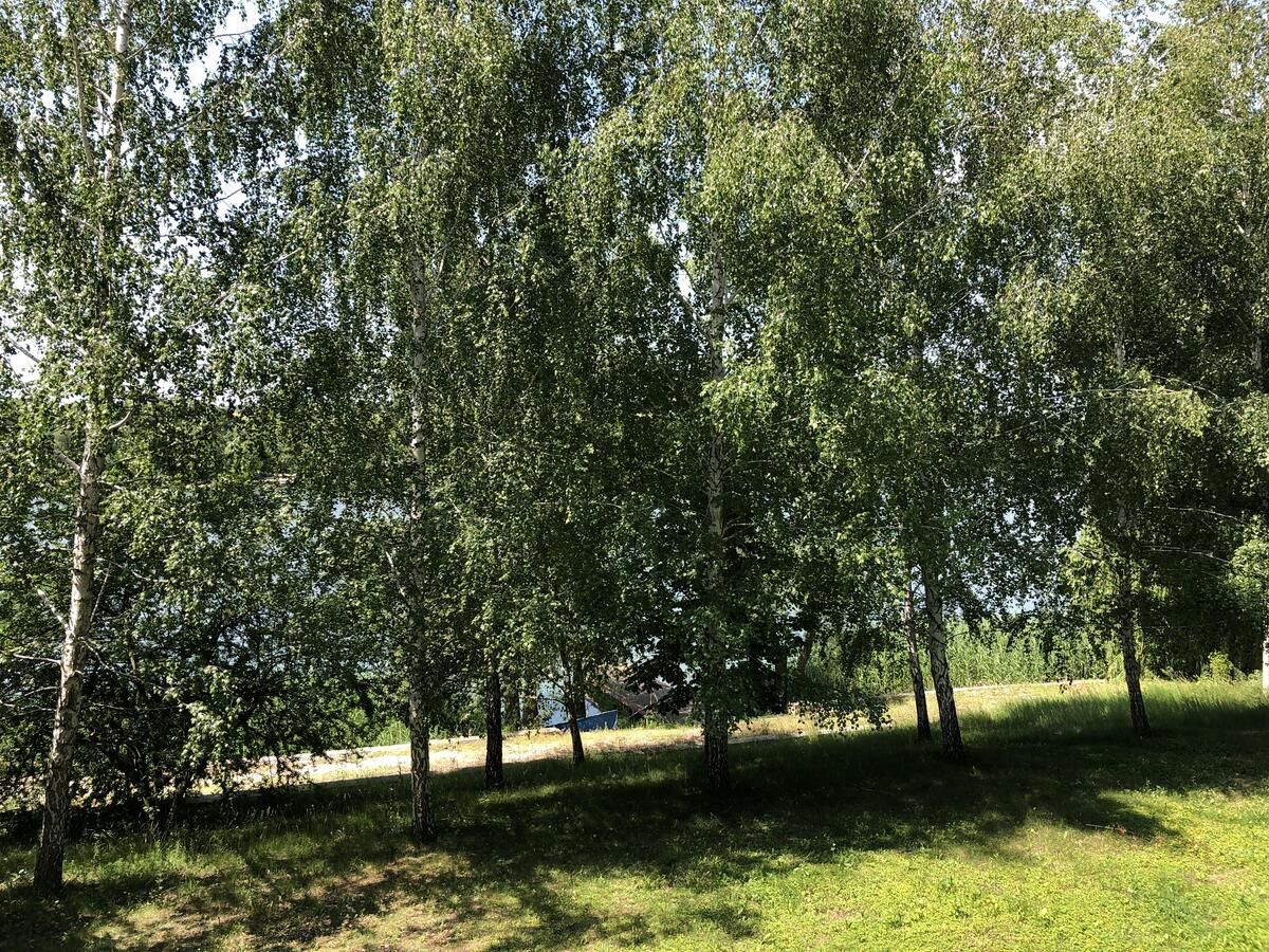 Отель Отель Каталония Кропивницкий-19